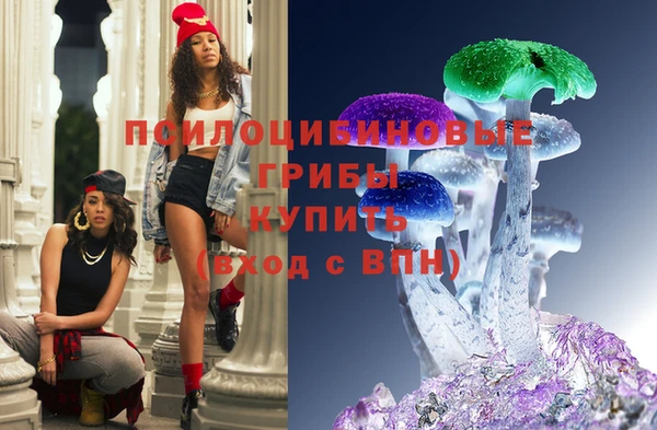 бутират Медногорск