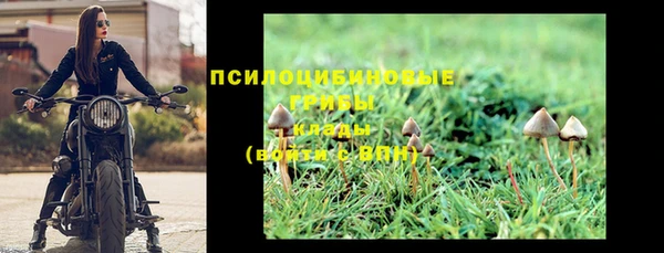 бутират Медногорск