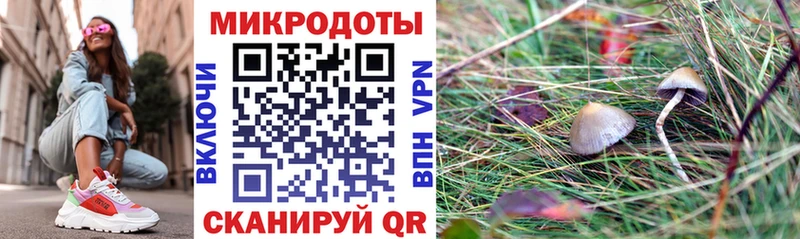 где найти   Ярцево  Галлюциногенные грибы Cubensis 