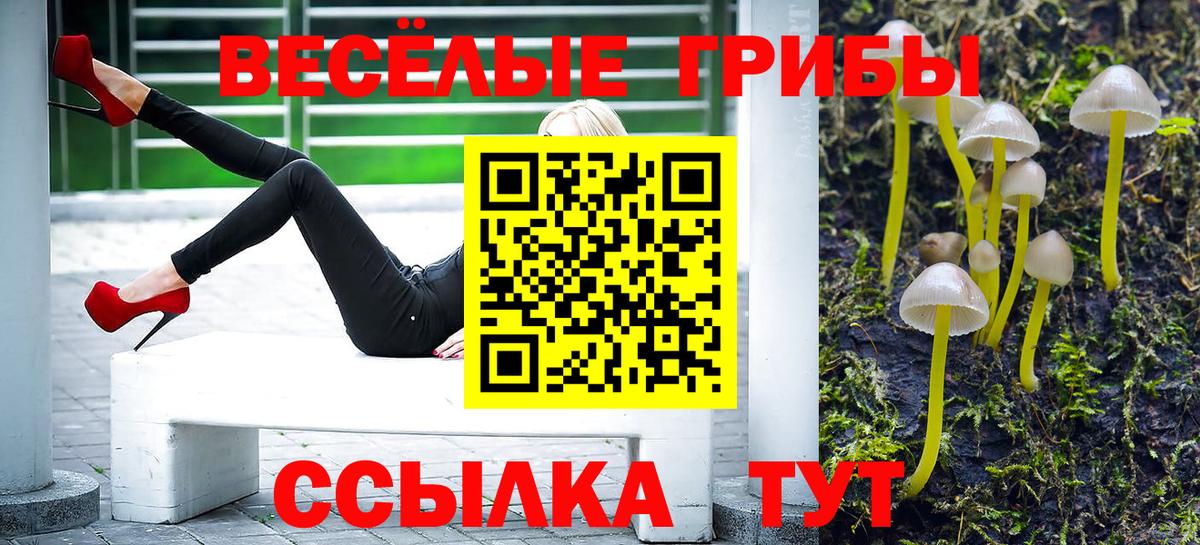 Ярцево  дарнет шоп  Вход с VPN  Псилоцибиновые грибы Psilocybe 